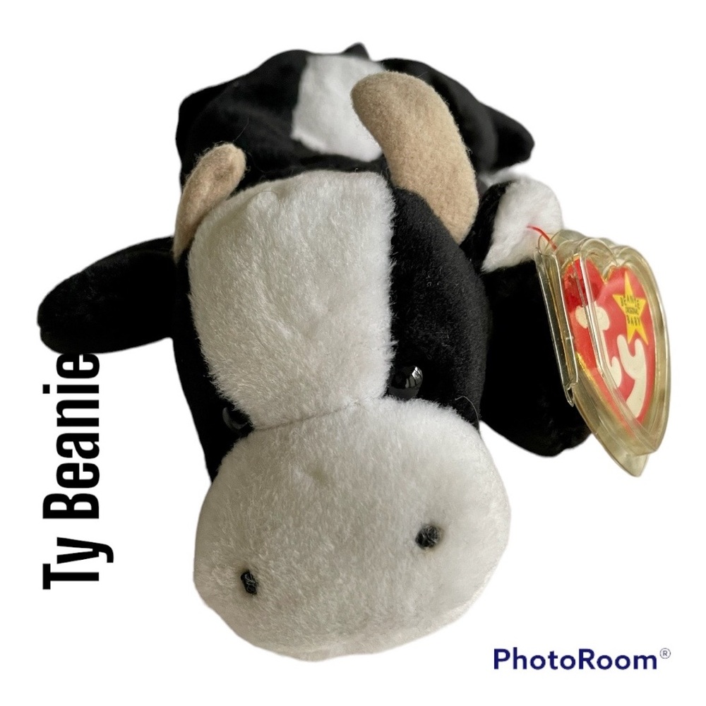 “Daisy” the Cow